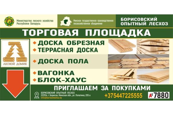 Борисовский опытный лесхоз открыл торговую площадку под брендом "Лесной домик"